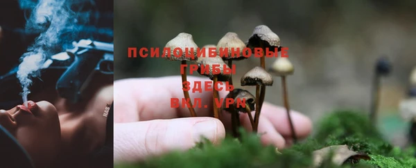 дурь Алексин