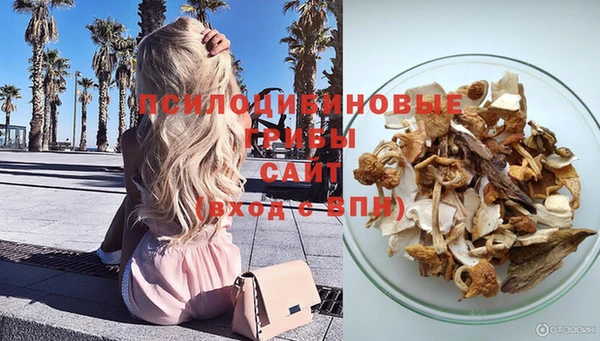 дурь Алексин