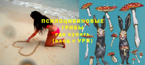 дурь Алексин