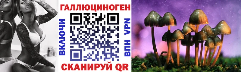KRAKEN вход  нарко площадка наркотические препараты  Боровск  Псилоцибиновые грибы GOLDEN TEACHER  хочу наркоту 