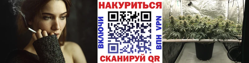 мега онион  Боровск  Бошки Шишки план 